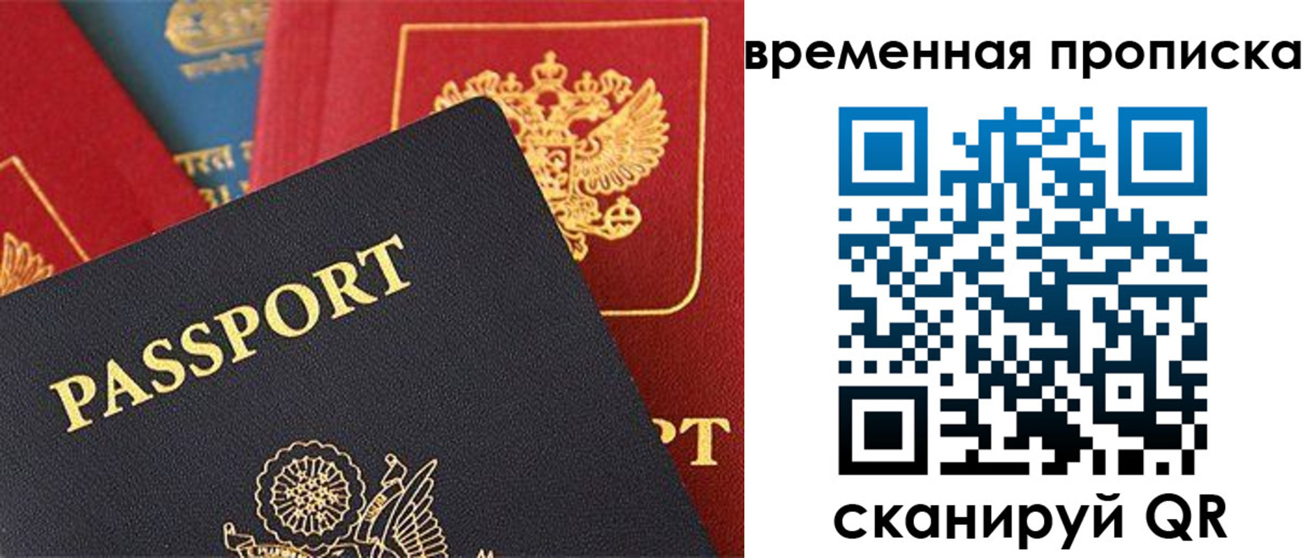 прописка для школы в Светлом