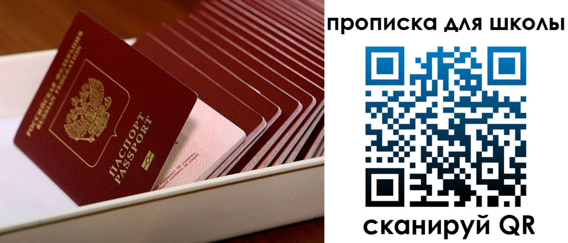 временная регистрация госуслуги в Светлом